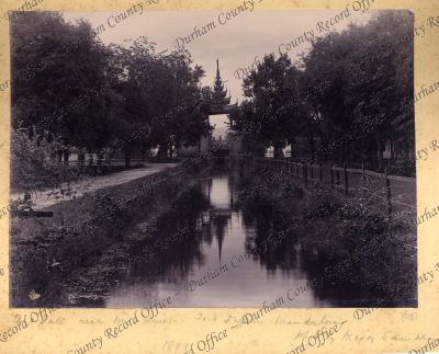 ref: D/DLI 7/898/1(118)