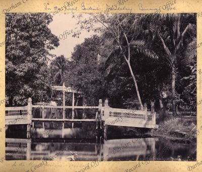 ref: D/DLI 7/898/1(141)