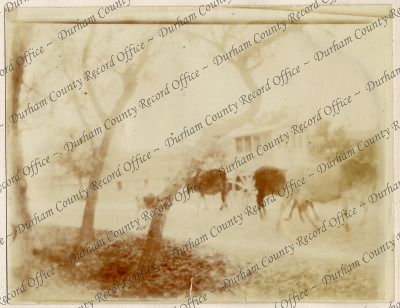 ref: D/DLI 7/898/2(14)