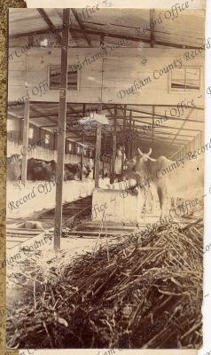 ref: D/DLI 7/898/2(22)