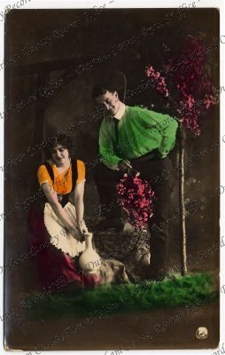 ref: D/DLI 7/913/113