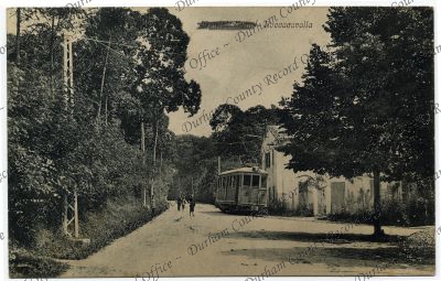 ref: D/DLI 7/913/292