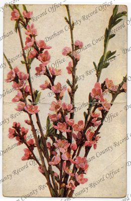 ref: D/DLI 7/913/301