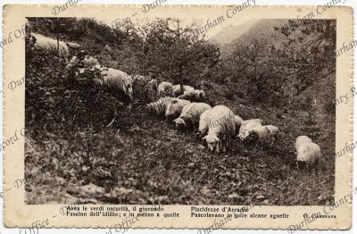 ref: D/DLI 7/913/395