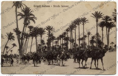 ref: D/DLI 7/913/404