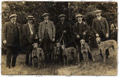 ref: D/DLI 7/913/456