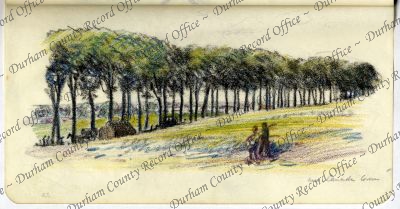 ref: D/DLI 7/920/9(43)