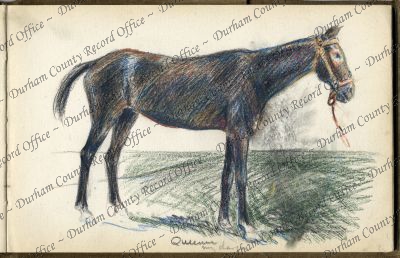 ref: D/DLI 7/920/12(8)