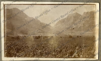 ref: D/DLI 7/935/3(17)