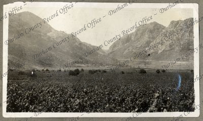 ref: D/DLI 7/935/3(19)