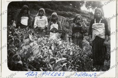 ref: D/DLI 7/949/6(105)