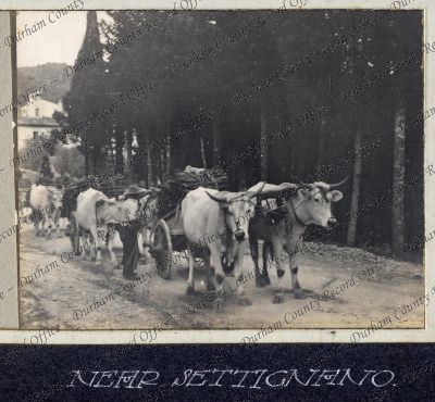 ref: D/DLI 7/951/6(23)