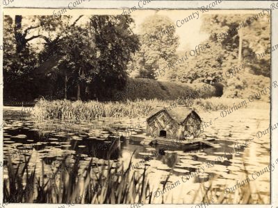 ref: D/DLI 7/951/6(46)