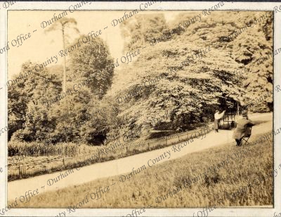 ref: D/DLI 7/951/6(47)