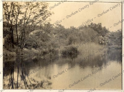 ref: D/DLI 7/951/6(48)