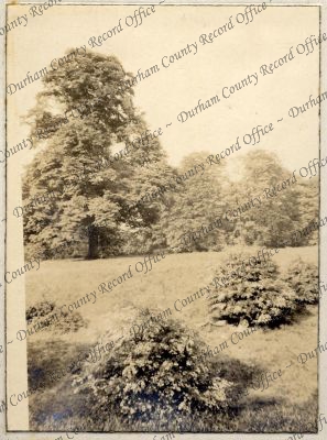 ref: D/DLI 7/951/6(50)