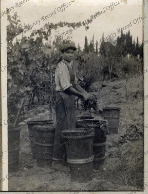 ref: D/DLI 7/951/6(62)