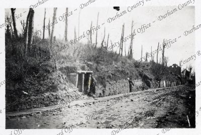 ref: D/DLI 7/951/7(51)