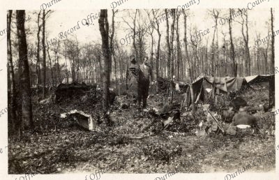 ref: D/DLI 7/951/8(31)