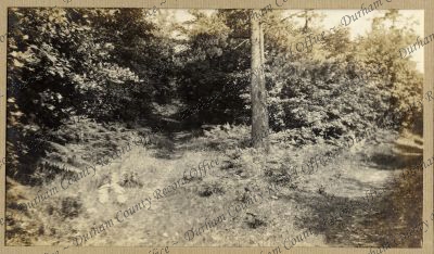 ref: D/DLI 7/951/9(3)