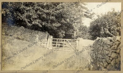 ref: D/DLI 7/951/9(4)