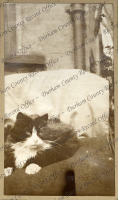 ref: D/DLI 7/951/9(5)