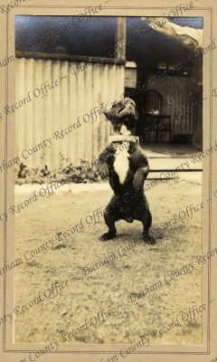 ref: D/DLI 7/951/9(21)