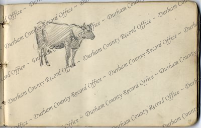 ref: D/DLI 7/956/3(11)