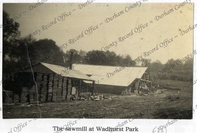 ref: D/DLI 7/968/3(22)