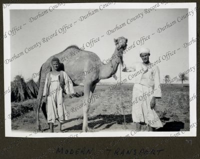 ref: D/DLI 7/979/1(37)