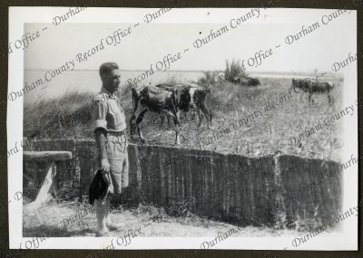 ref: D/DLI 7/979/1(45)