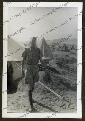 ref: D/DLI 7/979/1(46)