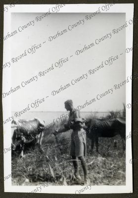 ref: D/DLI 7/979/1(48)