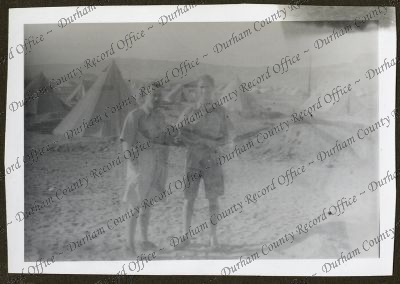 ref: D/DLI 7/979/1(50)