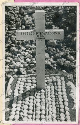 ref: D/DLI 7/983/5(7)