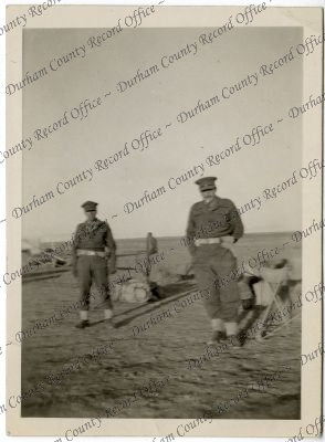 ref: D/DLI 7/1000/81