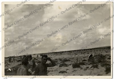 ref: D/DLI 7/1002/40