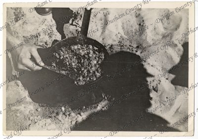 ref: D/DLI 7/1002/48