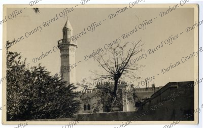 ref: D/DLI 7/1002/84