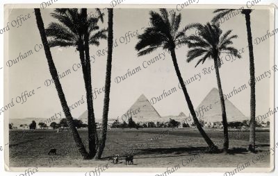 ref: D/DLI 7/1002/106