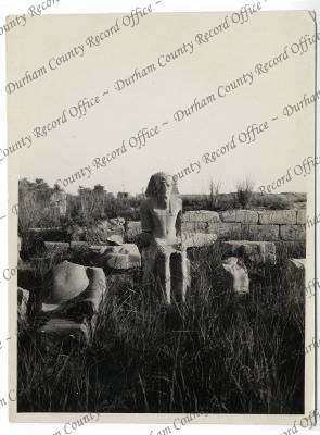 ref: D/DLI 7/1002/107