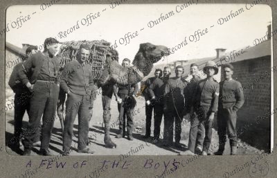 ref: D/DLI 7/1025/1(34)