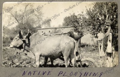 ref: D/DLI 7/1025/1(48)