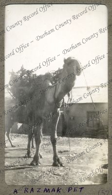 ref: D/DLI 7/1025/1(57)