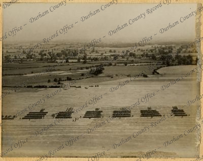 ref: D/DLI 11/4/2/79