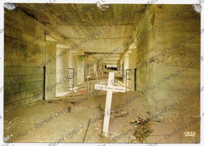 ref: D/DLI 13/2/110(1)