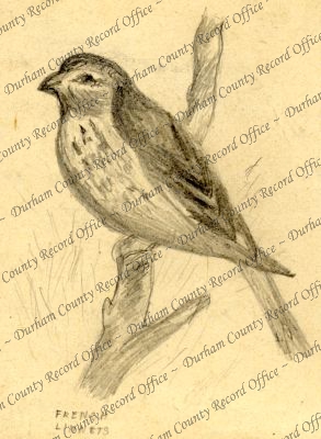 ref: D/DLI 13/2/112(5)