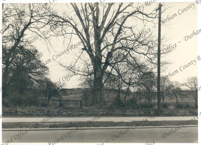 Photograph of the site of the new County... Photograph of the site of the new County...