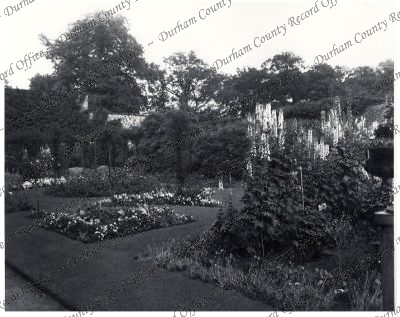 Photograph of walled garden, Aykley Head... Photograph of walled garden, Aykley Head...