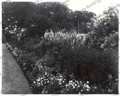 Photograph of herbaceous border, walled ... Photograph of herbaceous border, walled ...